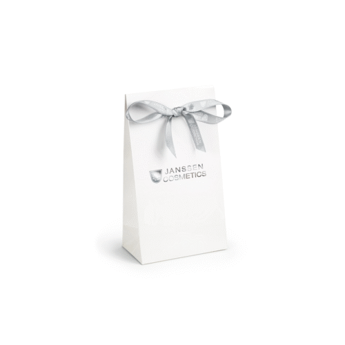 Gift Bag with bow (1pc) 919.011