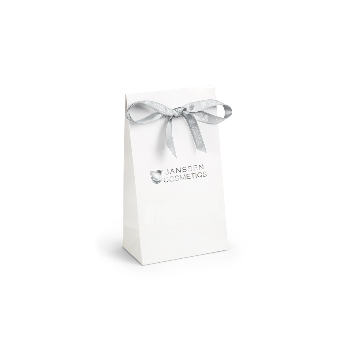 Gift Bag with bow (1pc) 919.011